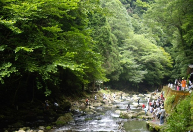 天城国際鱒釣場